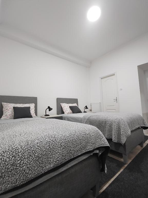 Postel nebo postele na pokoji v ubytování Apartman Centar Ivanjica