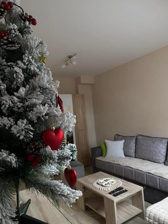 Posezení v ubytování Apartman Maksimović Divčibare