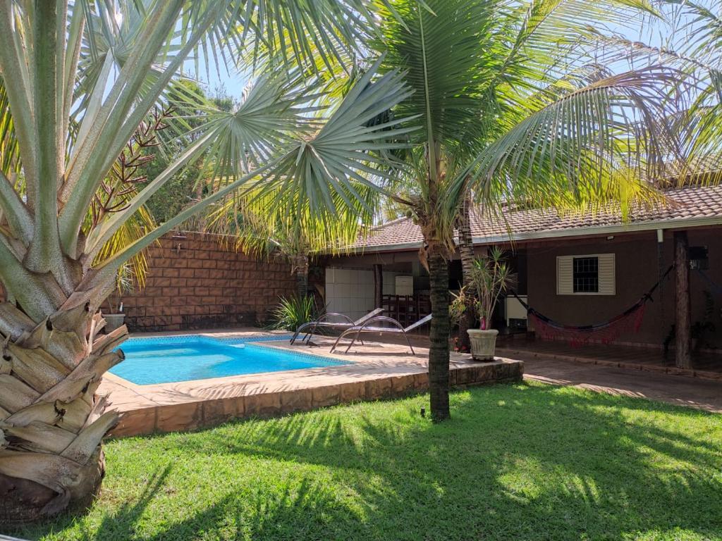 a pool with a palm tree next to a house at Chácara talismã 3 in Olímpia
