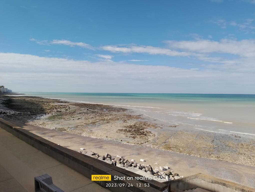 stado ptaków stojących na plaży w obiekcie Le Rayon Vert w mieście Ault