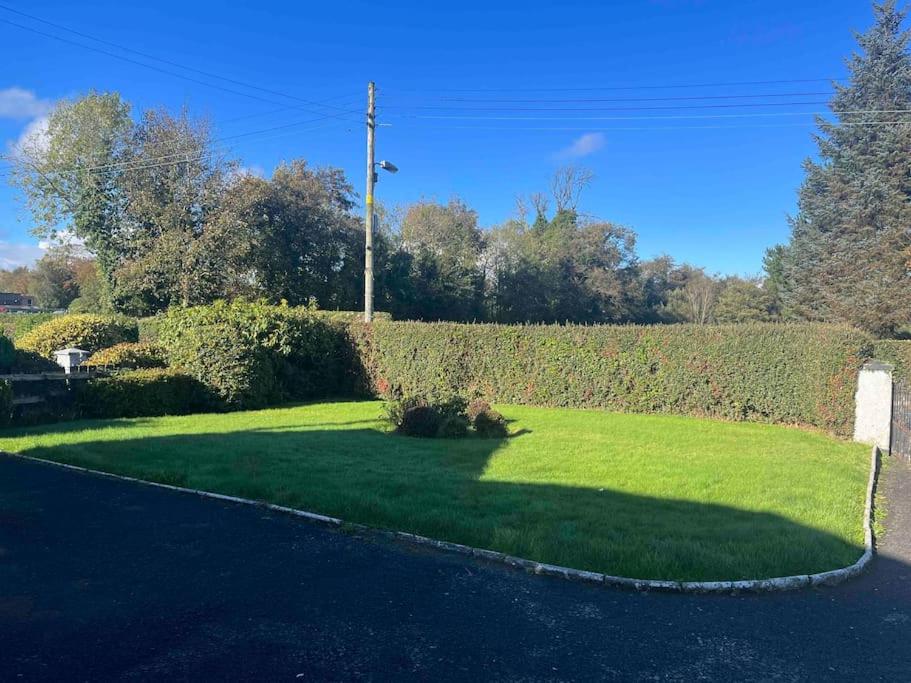 a yard with green grass and a hedge at Cosy 4 bed bungalow in quiet residential area! in Strabane