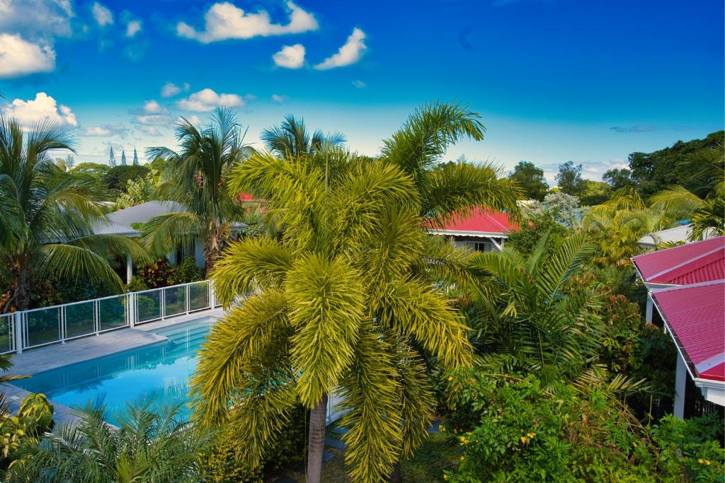 an overhead view of a palm tree and a swimming pool at Hôtel & Villa Le Cocotel in Saint-François