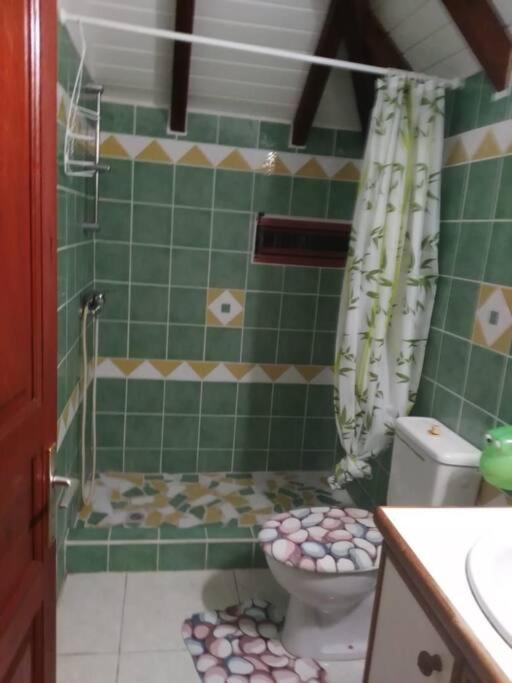 a green tiled bathroom with a toilet and a sink at appartement les hibiscus in Grand-Bourg