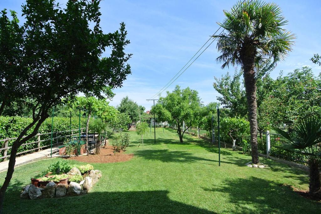 un parque con una palmera y césped verde en Apartments Sofia en Banjole