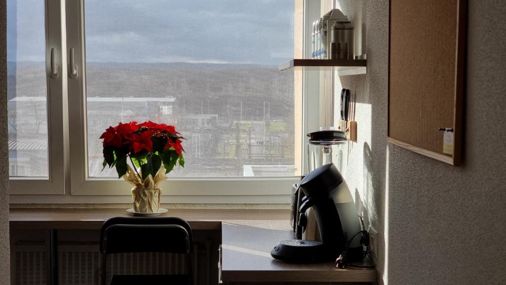 Dreamy Suite for Sunsetlovers – photo 14