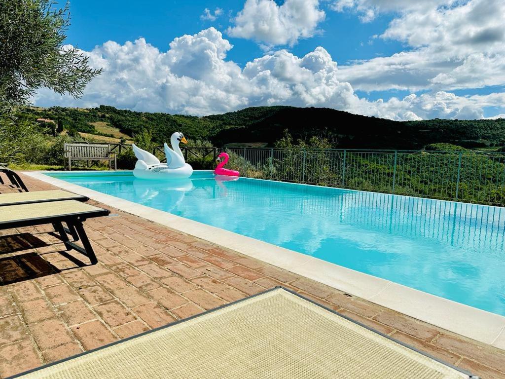 una piscina con dos cisnes y un flotador de cisnes en Colline di Rafael, en Cibottola