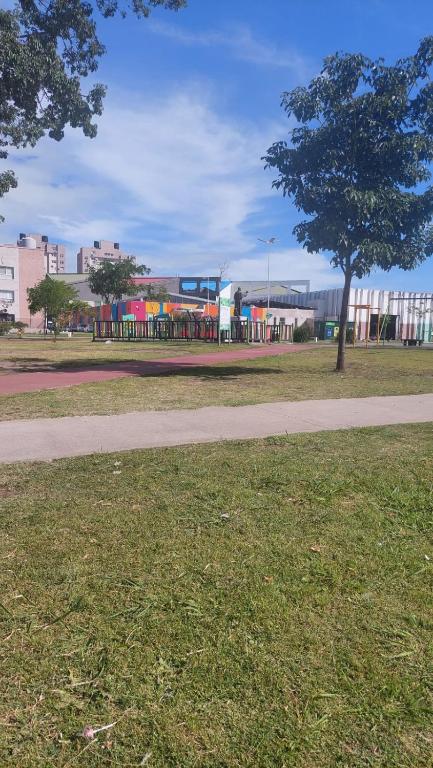 Calido y Confortable Girasol