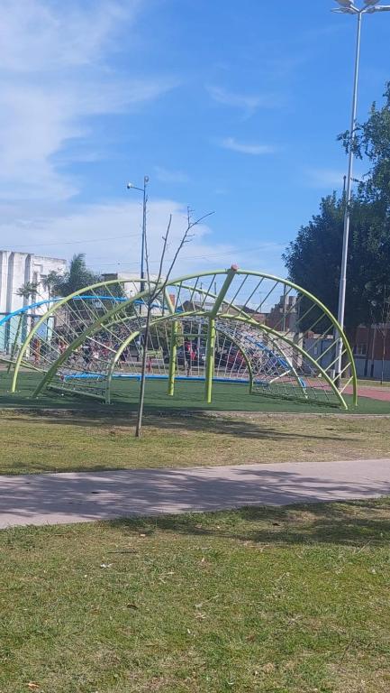 Calido y Confortable Girasol