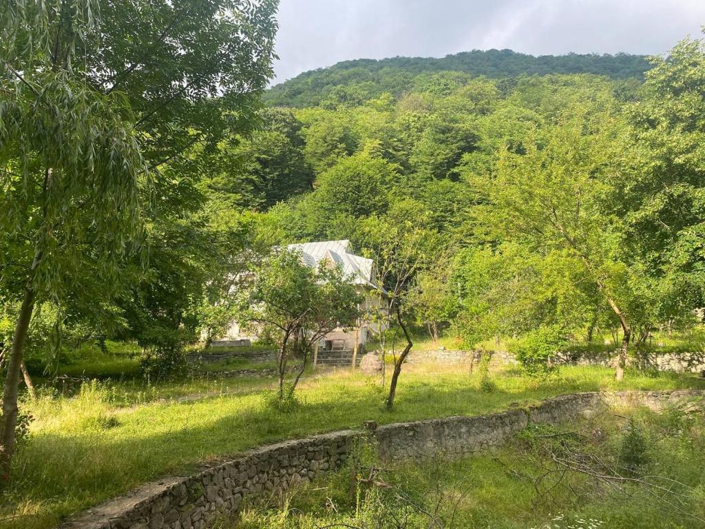 a house in the middle of a field with trees at Buynuz Village in İsmayıllı