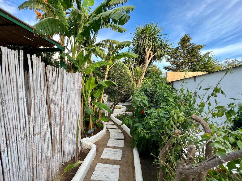 un jardín con una valla de madera y árboles en Dar chelbia en Hammamet