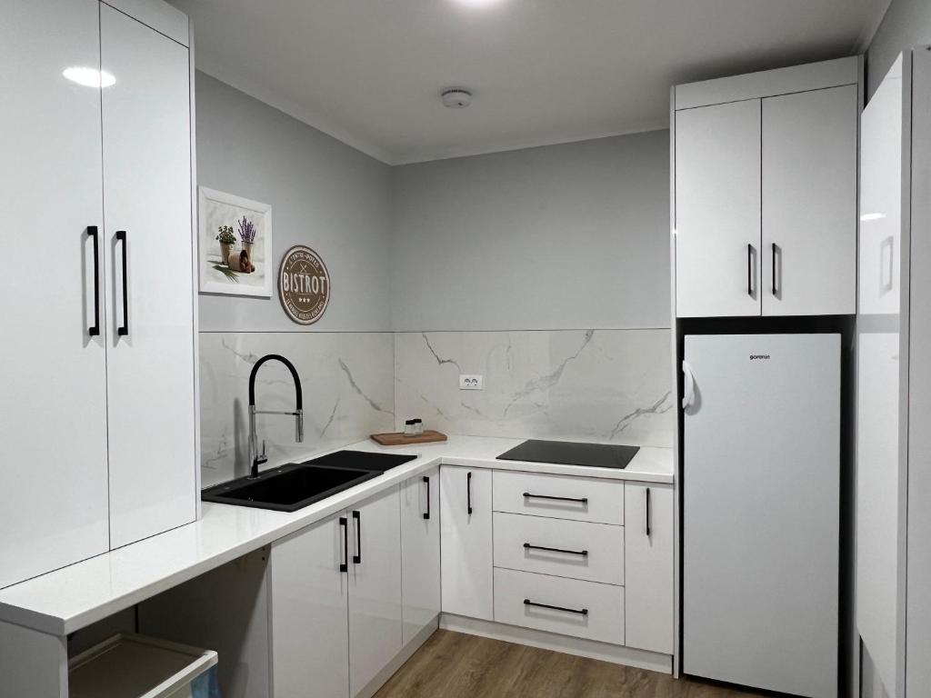 Kuchyň nebo kuchyňský kout v ubytování Planinska Princeza Apartmani