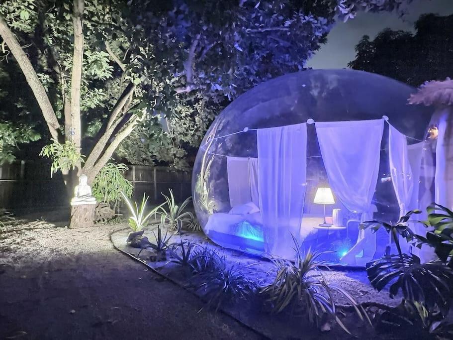 a large iguana tent in a garden at night at Jacuzzi•Glamping•Gym•Parking•BBQ•Soft Beds•Secure in Miami