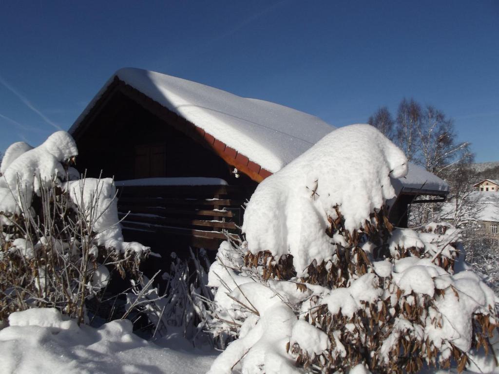 Chalet spacieux près de Gérardmer avec terrasse, verger et activités montagne - FR-1-589-121 - Vakantiehuis