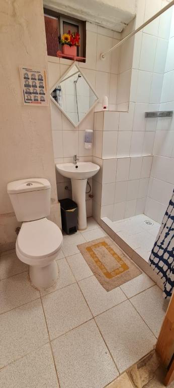 Koupelna v ubytování Hostal Likancabur