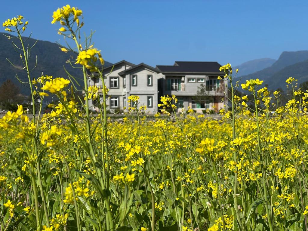 池上鄉的住宿－米之頌民宿，一座房子前面的一片黄花