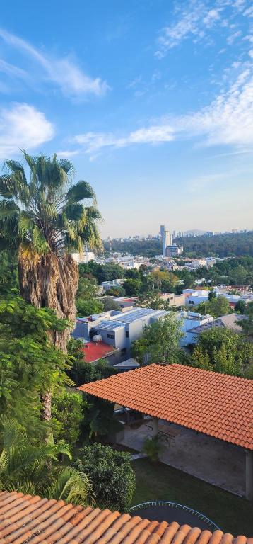 a view of a city with a palm tree and buildings at Casa lindavista in Guadalajara