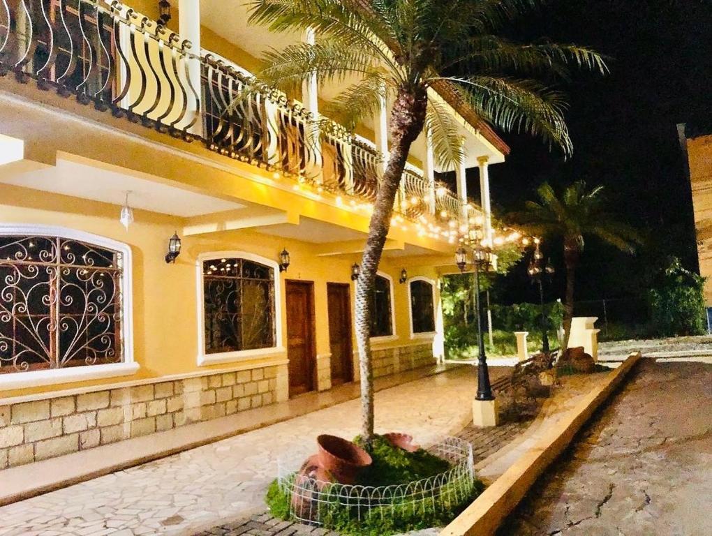 a palm tree in front of a building at Habitación Hermosa a 3 cuadras del Parque de Copán in Copan Ruinas