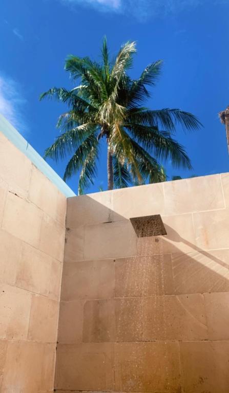 Trawangan Oasis - 13