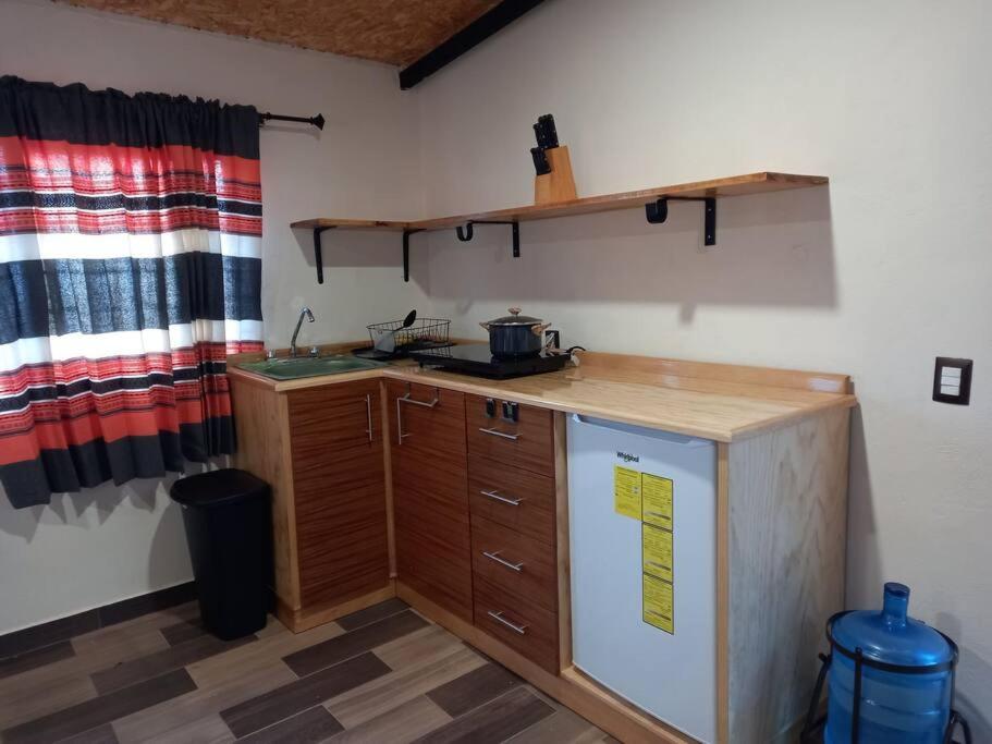 une petite cuisine avec un comptoir et un réfrigérateur dans l'établissement Cabaña San Agustín Etla, à San Agustín Etla