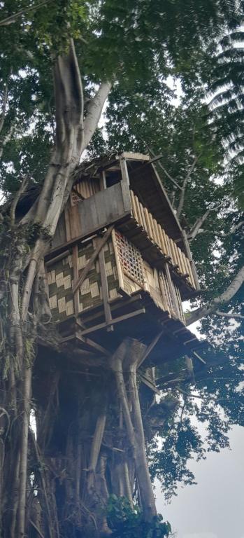 Glowing Mountain view tree house saat musim dingin