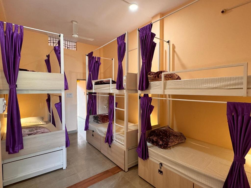 a room with three bunk beds with purple curtains at The BackpackStack in Ujjain