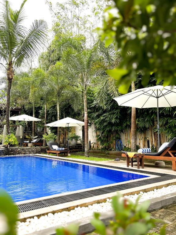 Bazén v ubytování Terrace Garden Ayurveda Resort nebo v jeho okolí