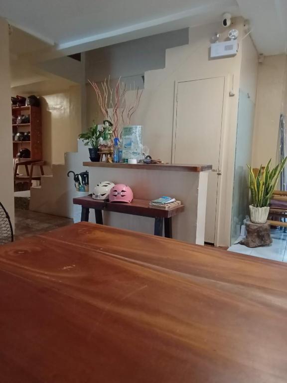 una habitación con una mesa y un mostrador con plantas en Laguno Hostel and Guest House, en Moalboal
