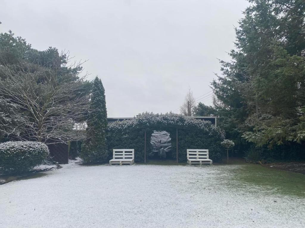 Hotel Astra Tajemniczy Ogród - Resim 45