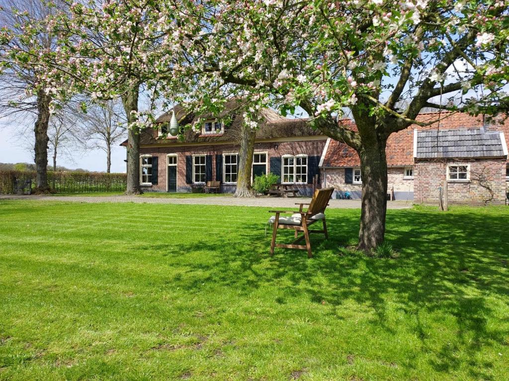 a bench sitting under a tree in front of a house at Het Spijkerhuys in Luttenberg