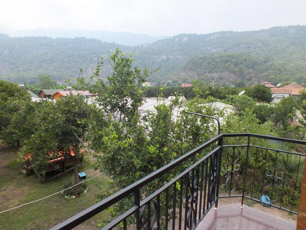 Příroda nedaleko hotelu