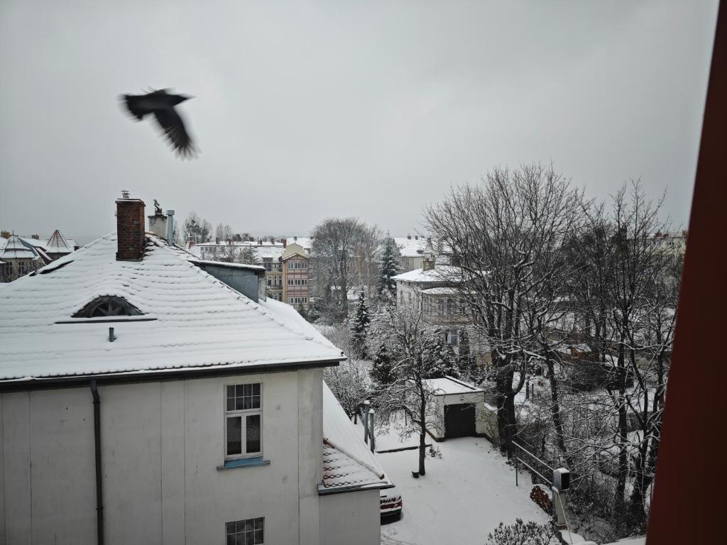 Willa Ksiezniczki Sopotu - Resim 45