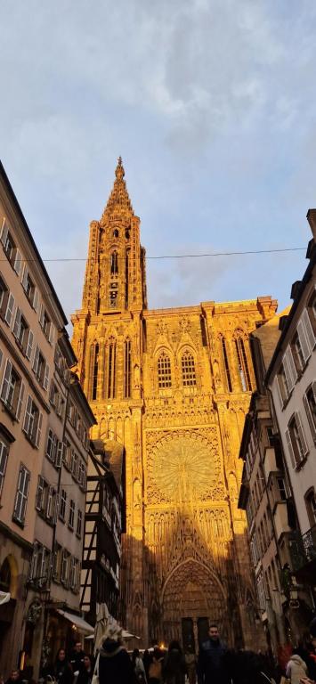 un grand bâtiment avec une grande tour dans une ville dans l'établissement Cathédrale, à Strasbourg