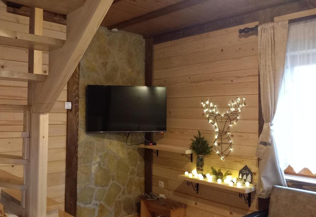 TV a/nebo společenská místnost v ubytování Brvnare Na Brdu