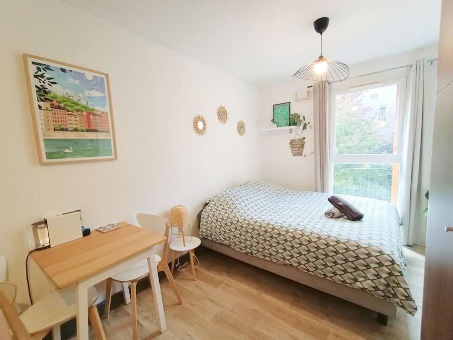 une chambre avec un lit, une table et un bureau dans l'établissement Beau studio calme proche Part-Dieu et centre Lyon, à Villeurbanne