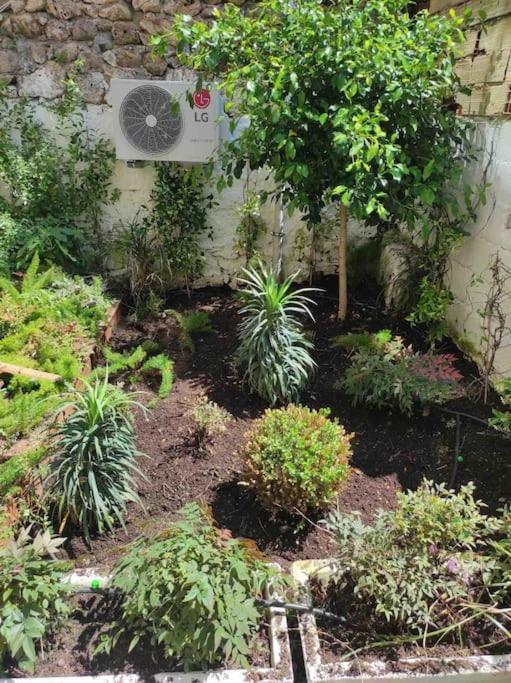 تصویر اتاق‌های Center of Old Town,2+1 flat with Garden - تصویر ۲
