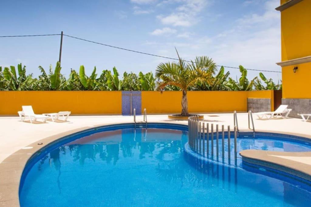 a swimming pool in a resort with chairs and trees at Belair Tazacorte in Tazacorte