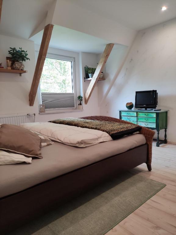 two beds in a room with a television and a window at Eider in Karolinenkoog