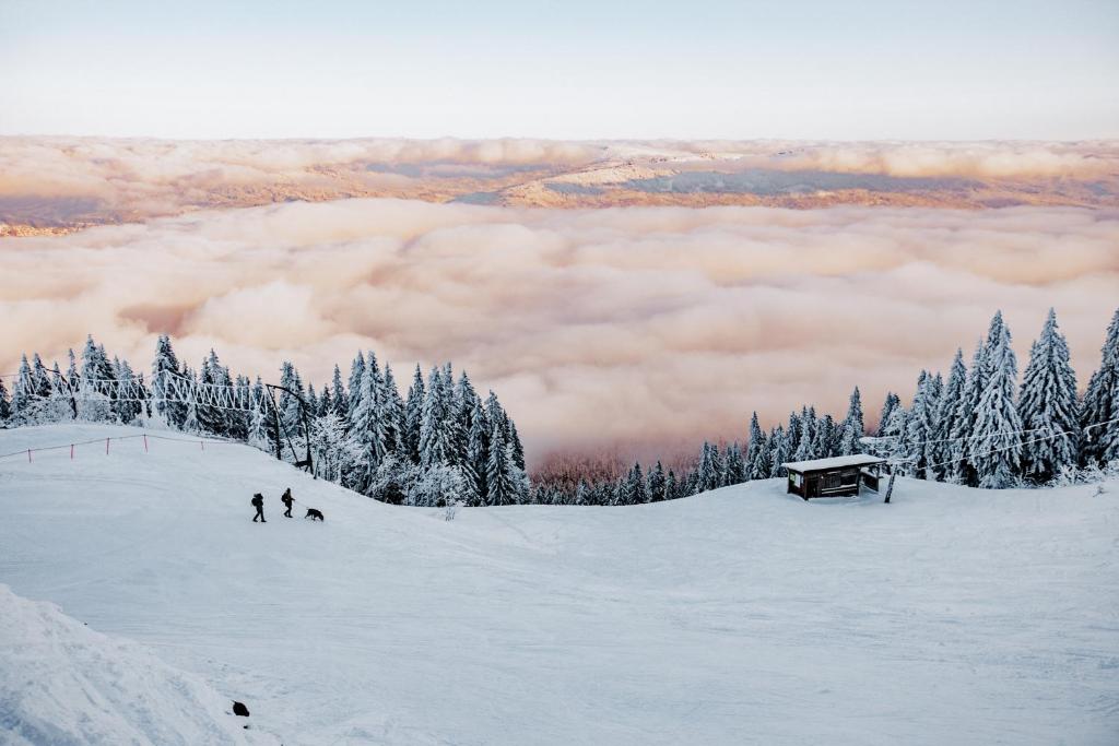 OREA Hotel Špičák Šumava v zimě