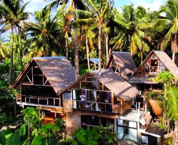 Zahrada ubytování Tarzan's House