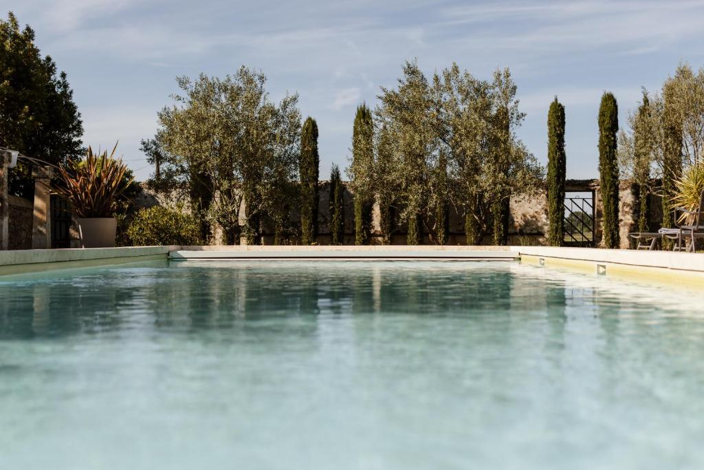 una gran piscina de agua con árboles en el fondo en Le Domaine de L'Osage, en Pont-Saint-Esprit