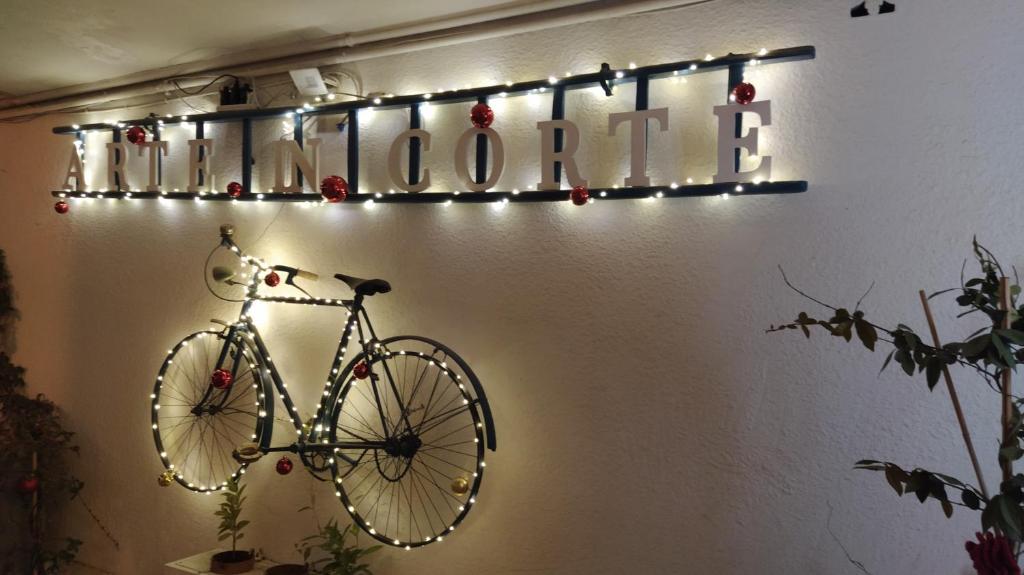 Jízda na kole v ubytování Suite 20 nebo okolí