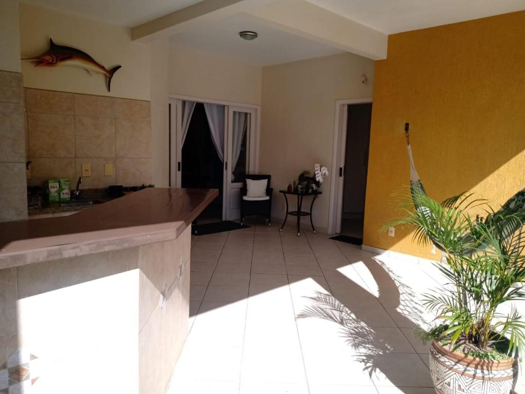 una sala de estar con 2 macetas en una habitación en Casa ampla em Fpolis, en Florianópolis
