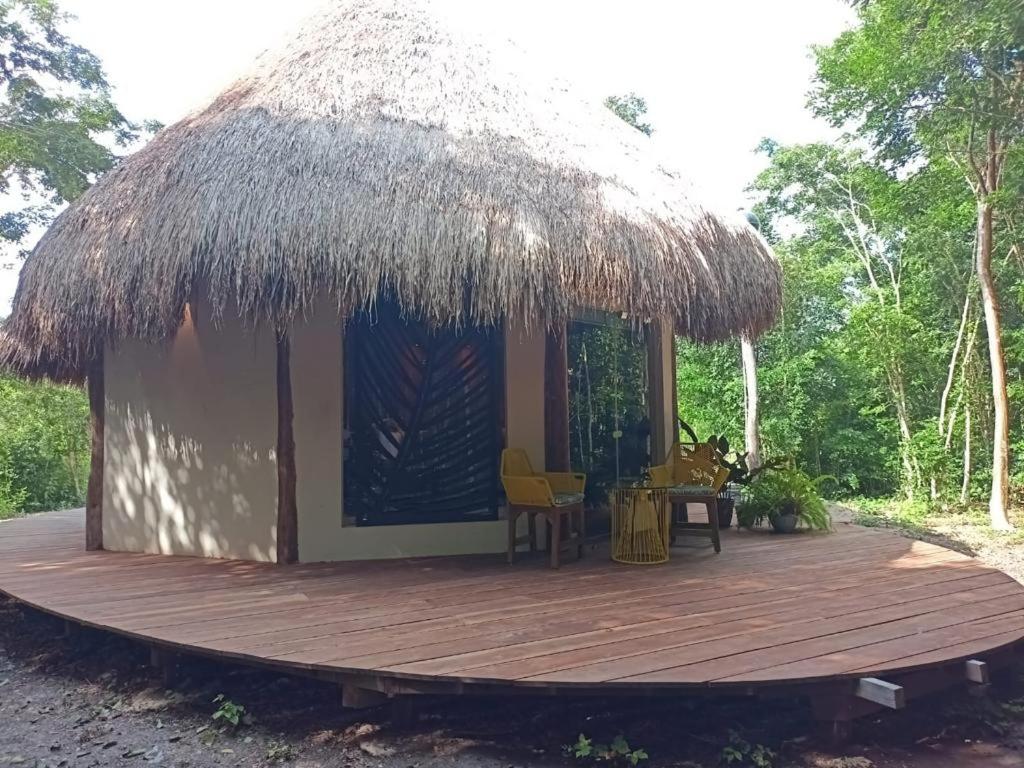 Zahrada ubytování Casa Kaan Calakmul