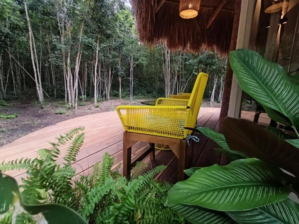 Zahrada ubytování Casa Kaan Calakmul
