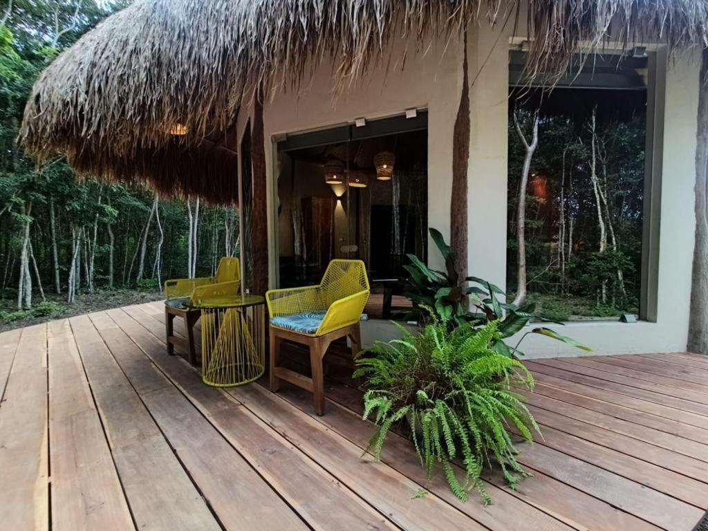 Zahrada ubytování Casa Kaan Calakmul