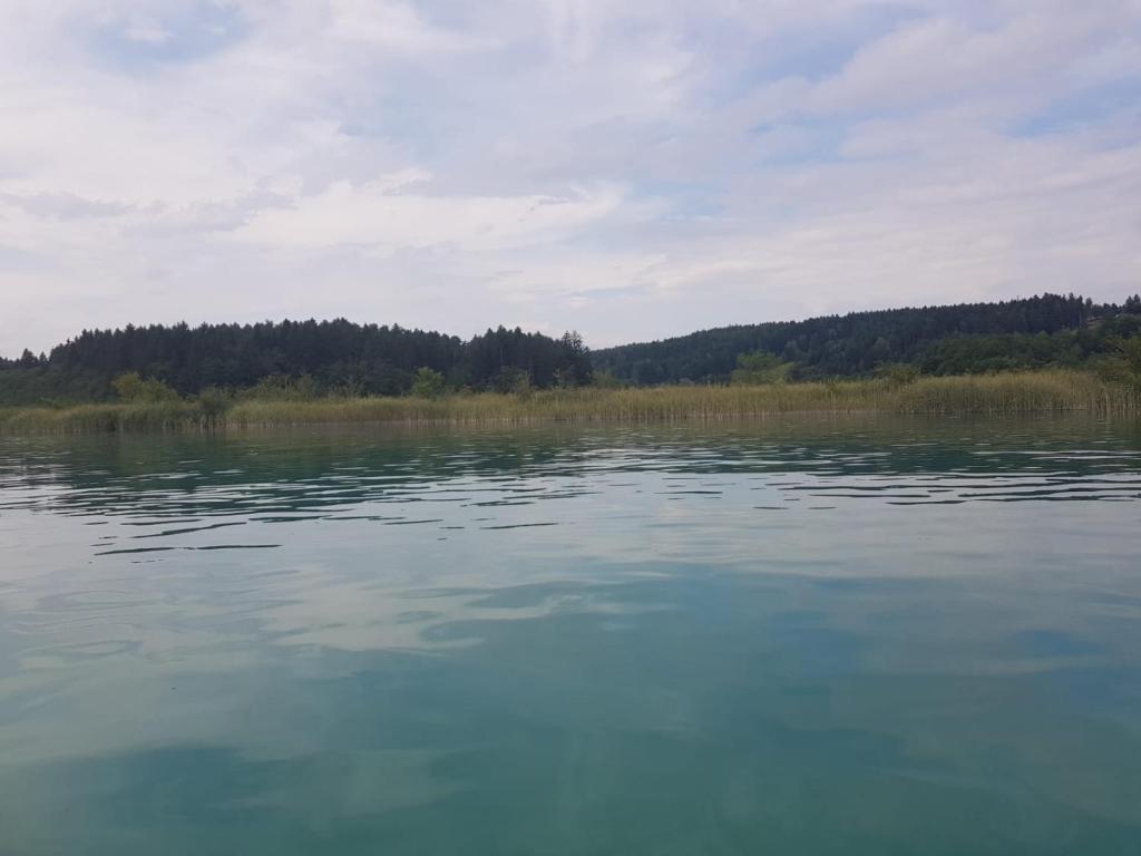 Príroda v okolí apartmánu