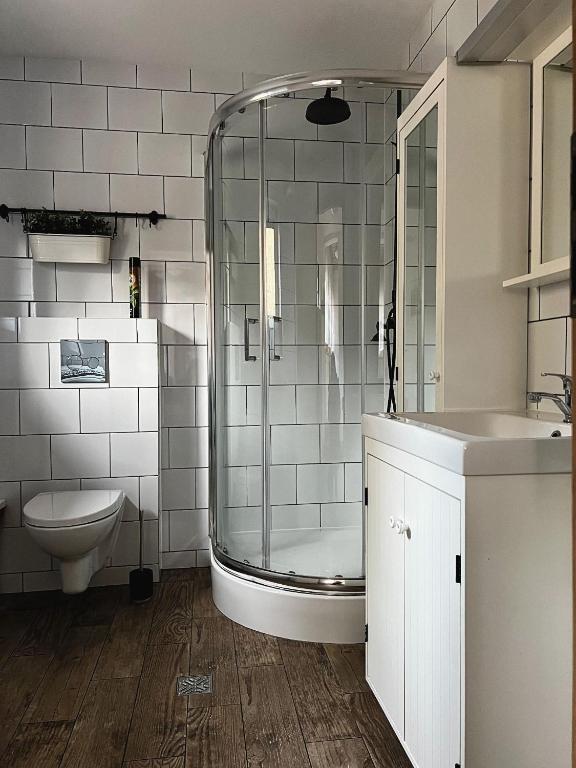 Apartamenty Góralski DACH NAD GŁOWĄ - 10