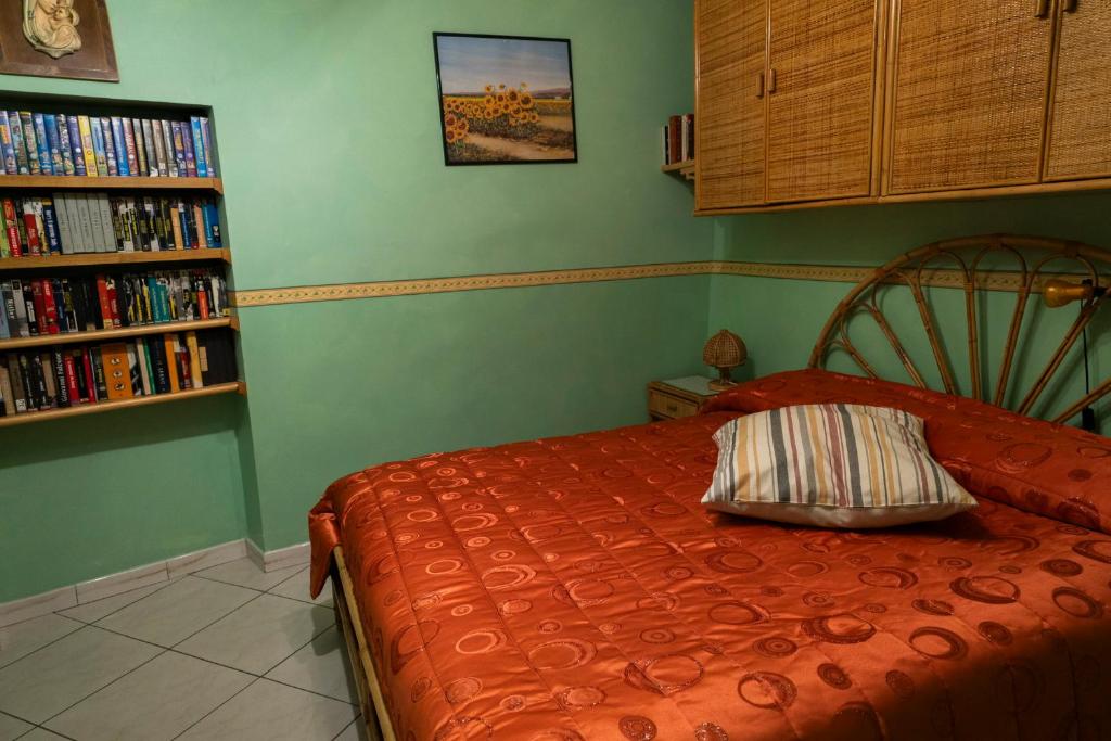 The library in Az apartmant