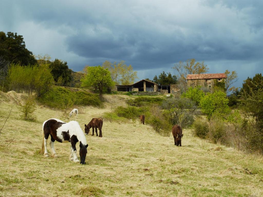 Fotografie z fotogalerie ubytování Fonda Finet v destinaci Sant Felíu de Pallarols