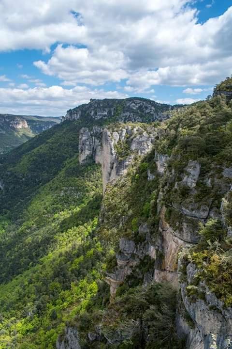 une vue aérienne sur une montagne rocheuse avec des arbres dans l'établissement gîte Les Lavandes de Capluc, au Rozier